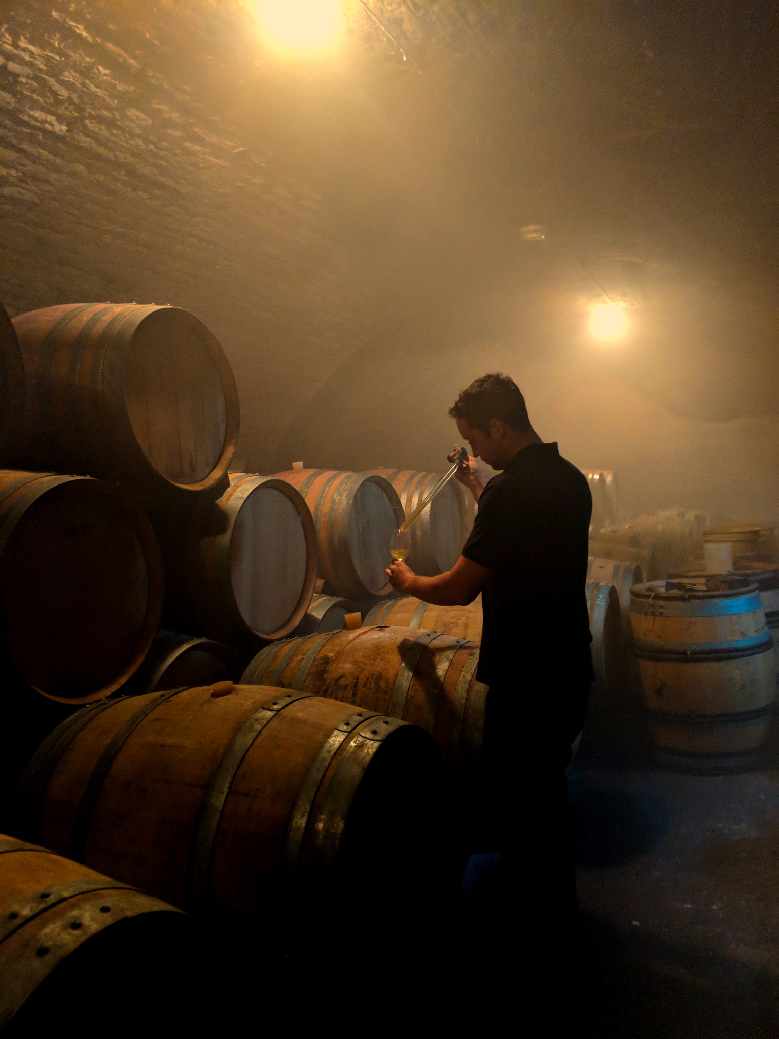 Vespera Cellars